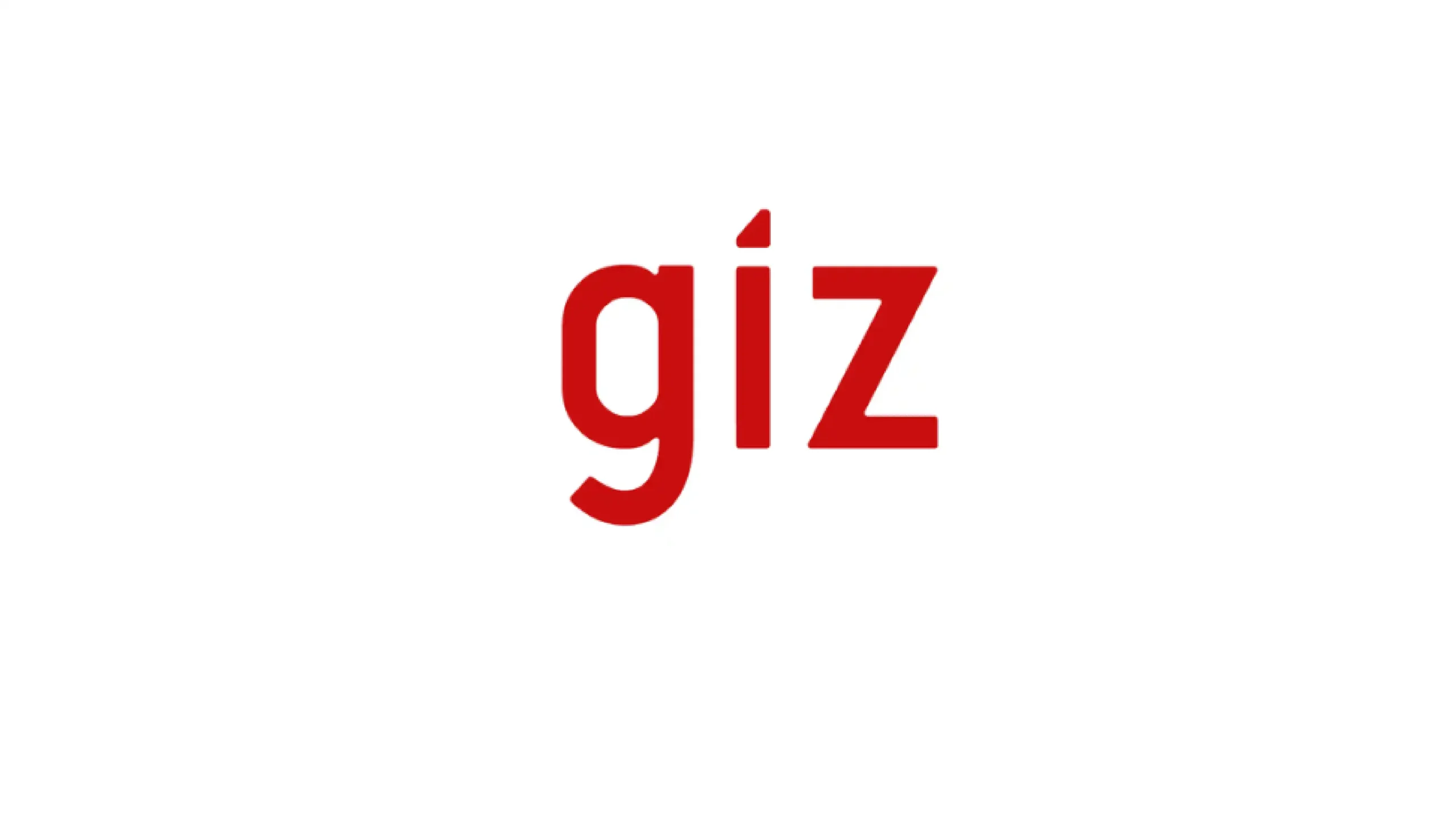 German Agency for International Cooperation (GIZ)